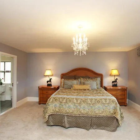 Anam Cara Manor 5* Enniscorthy
