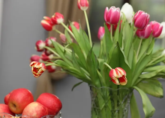 Gasthof Anam Cara Manor