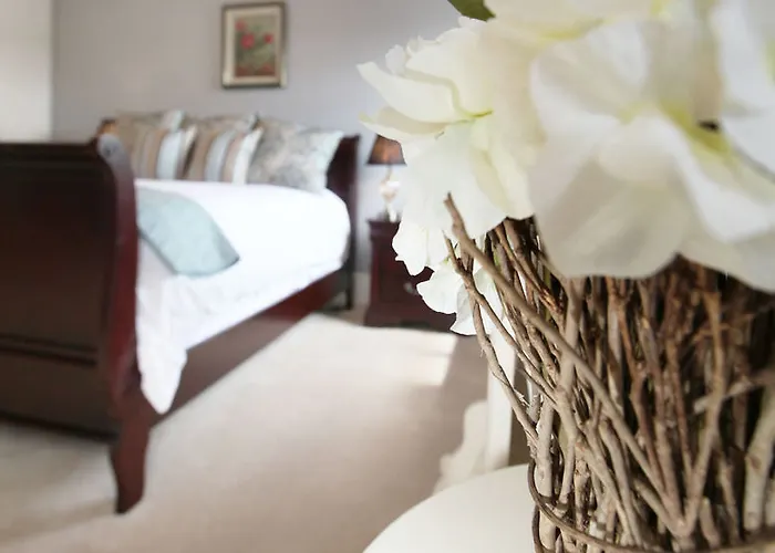 Anam Cara Manor 5* Enniscorthy